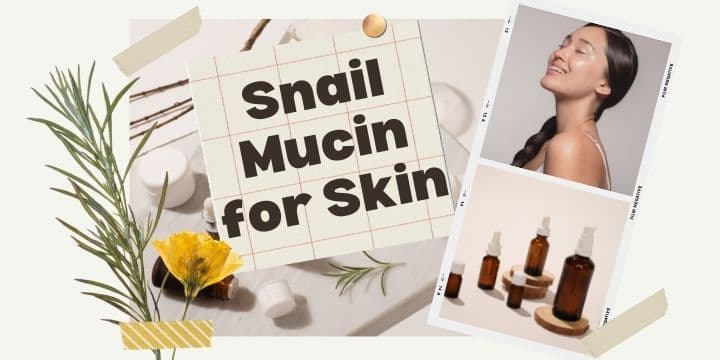 Best Korean snail mucin cream for skin