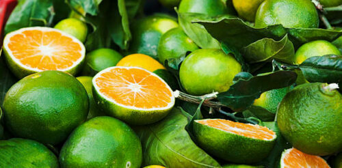 green tangerines