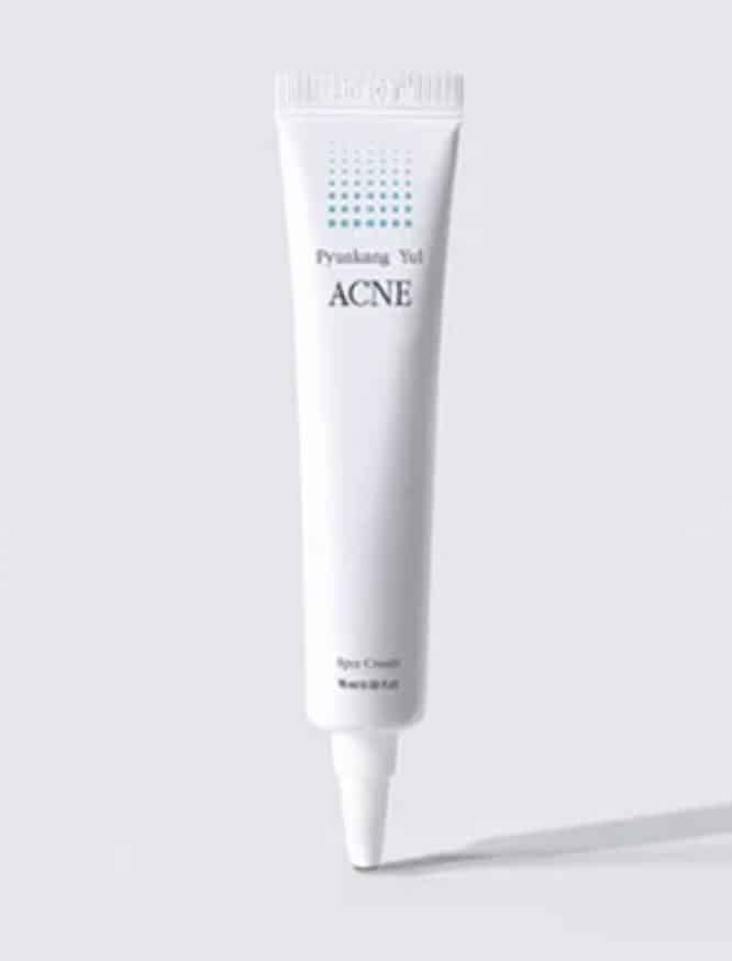 Pyunkang Yul acne cream - Korean Beauty Brand Pyunkang Yul Review 